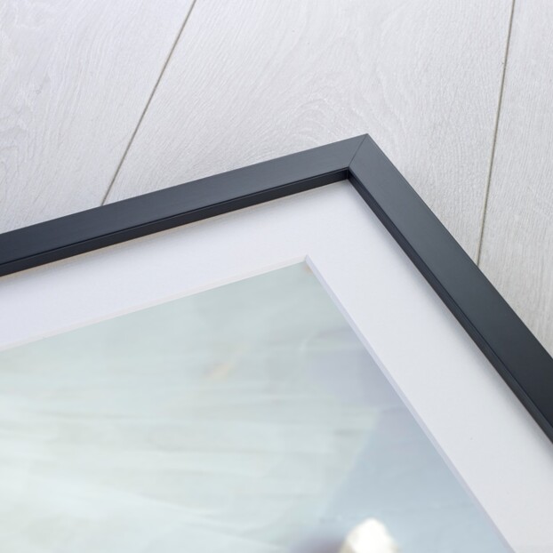 Ballet shoes and skirt by Assaf Frank